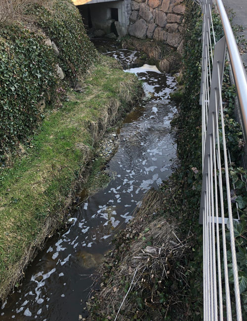 Gewässerschmutzung Bild 5